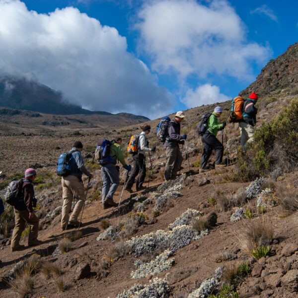 6 Days Mount Kilimanjaro Hiking – Marangu Route