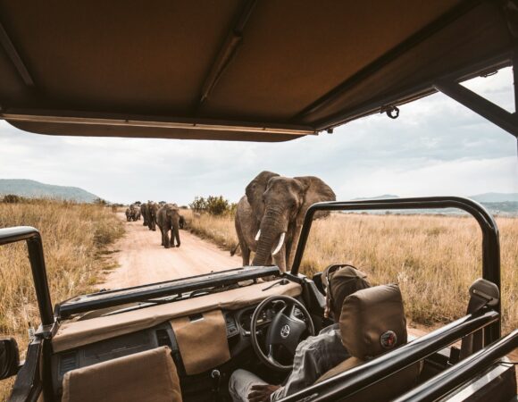 3 Days Tanzania Safari – Ngorongoro & Tarangire