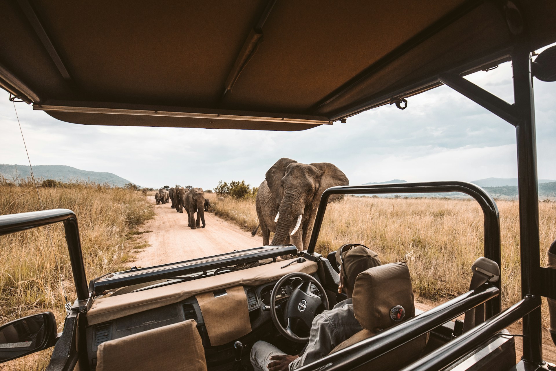 3 Days Tanzania Safari – Ngorongoro & Tarangire